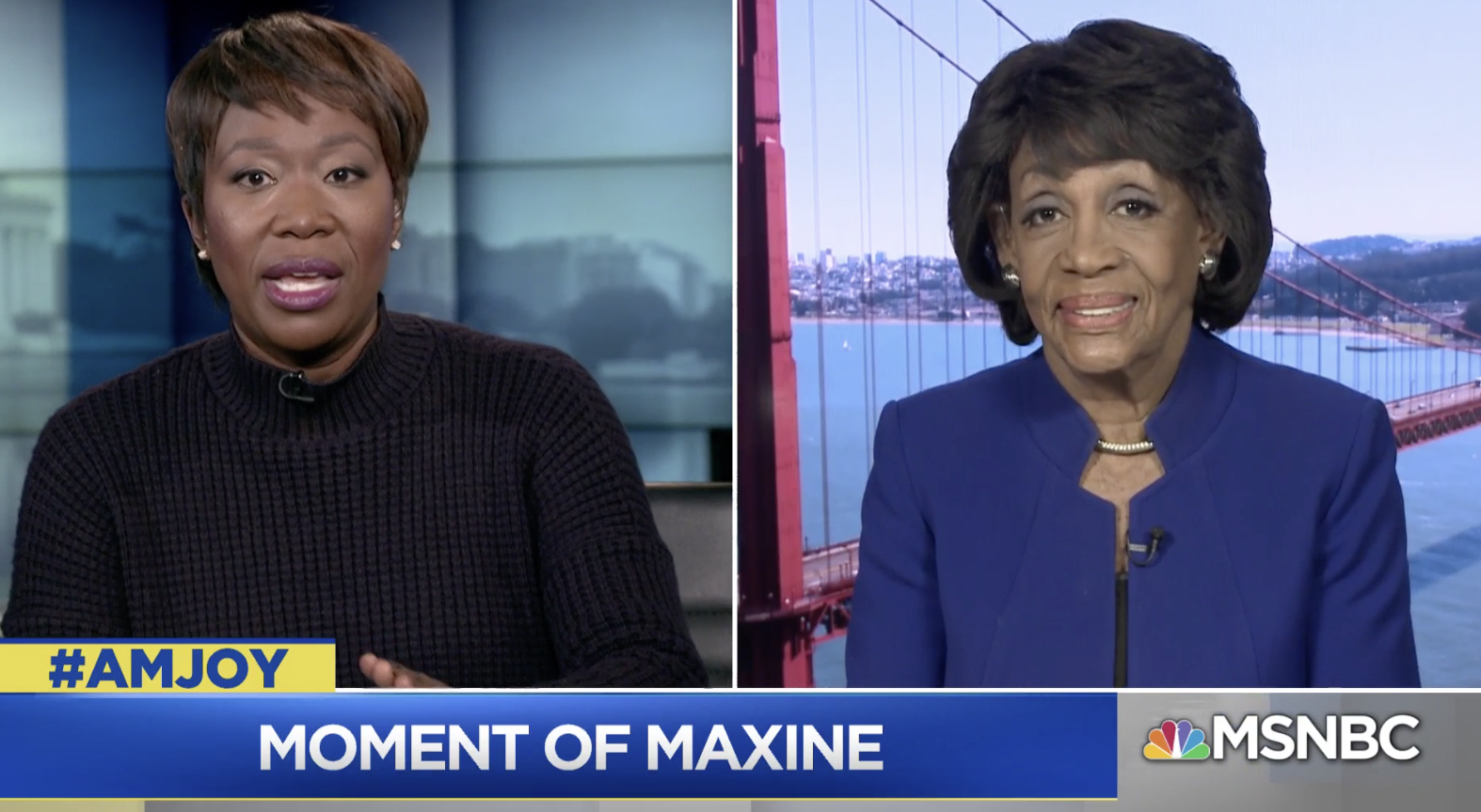 Rep. Waters Discusses California Wildfires & Her Priorities in the 116th  Congress on MSNBC | Representative Maxine Waters