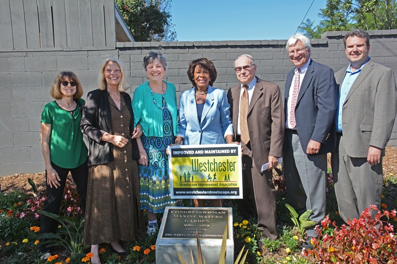 WSIA Honors Congresswoman Maxine Waters 